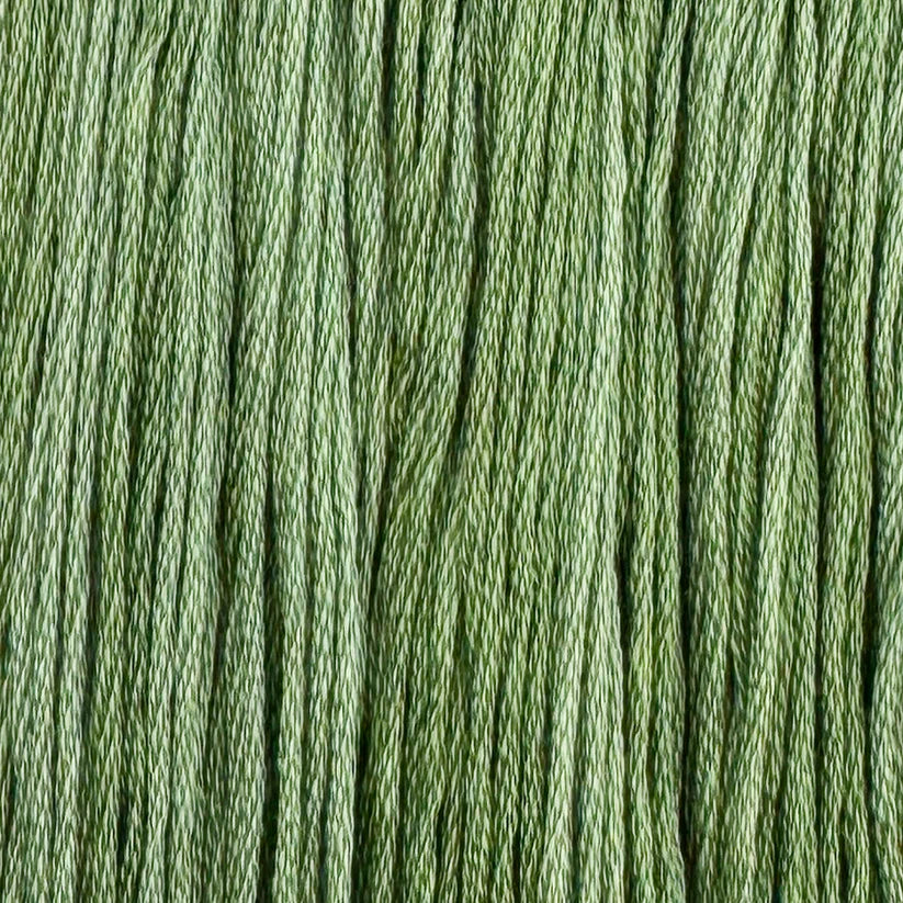 Aloe Vera Colour & Cotton Overdyed Cotton Floss