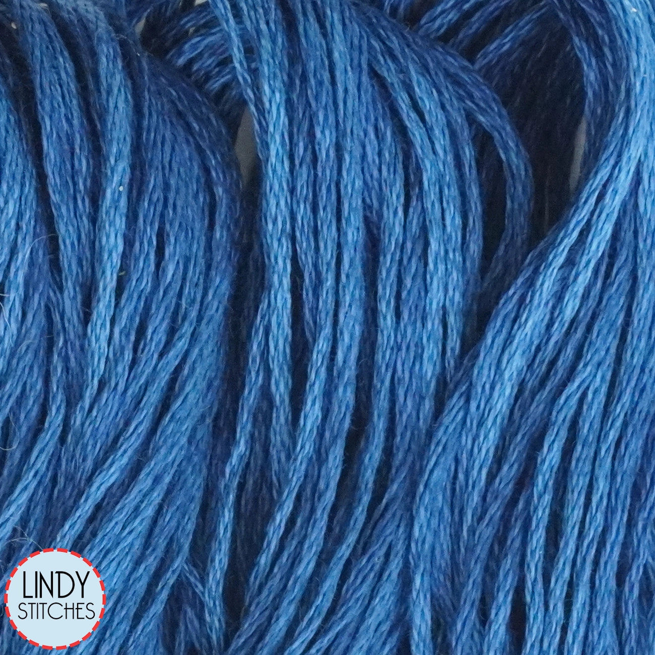 Americana Weeks Dye Works Floss Hand Dyed Cotton Skein 1307