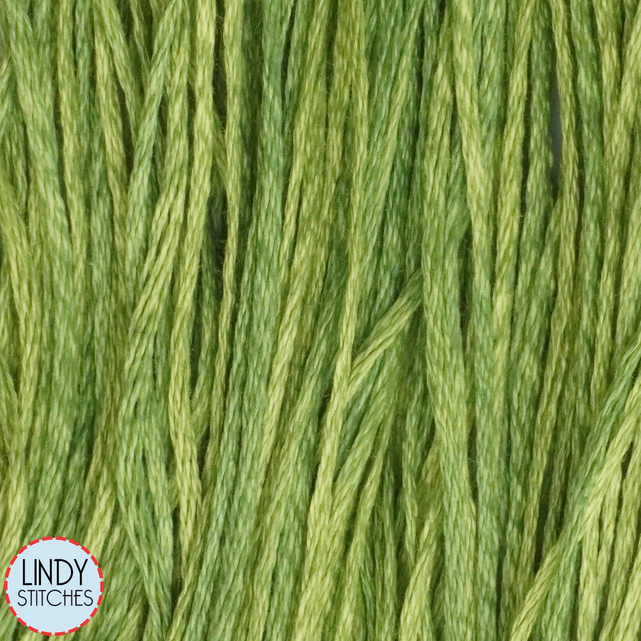 Apple Pucker Weeks Dye Works Floss Hand Dyed Cotton Skein 2202a
