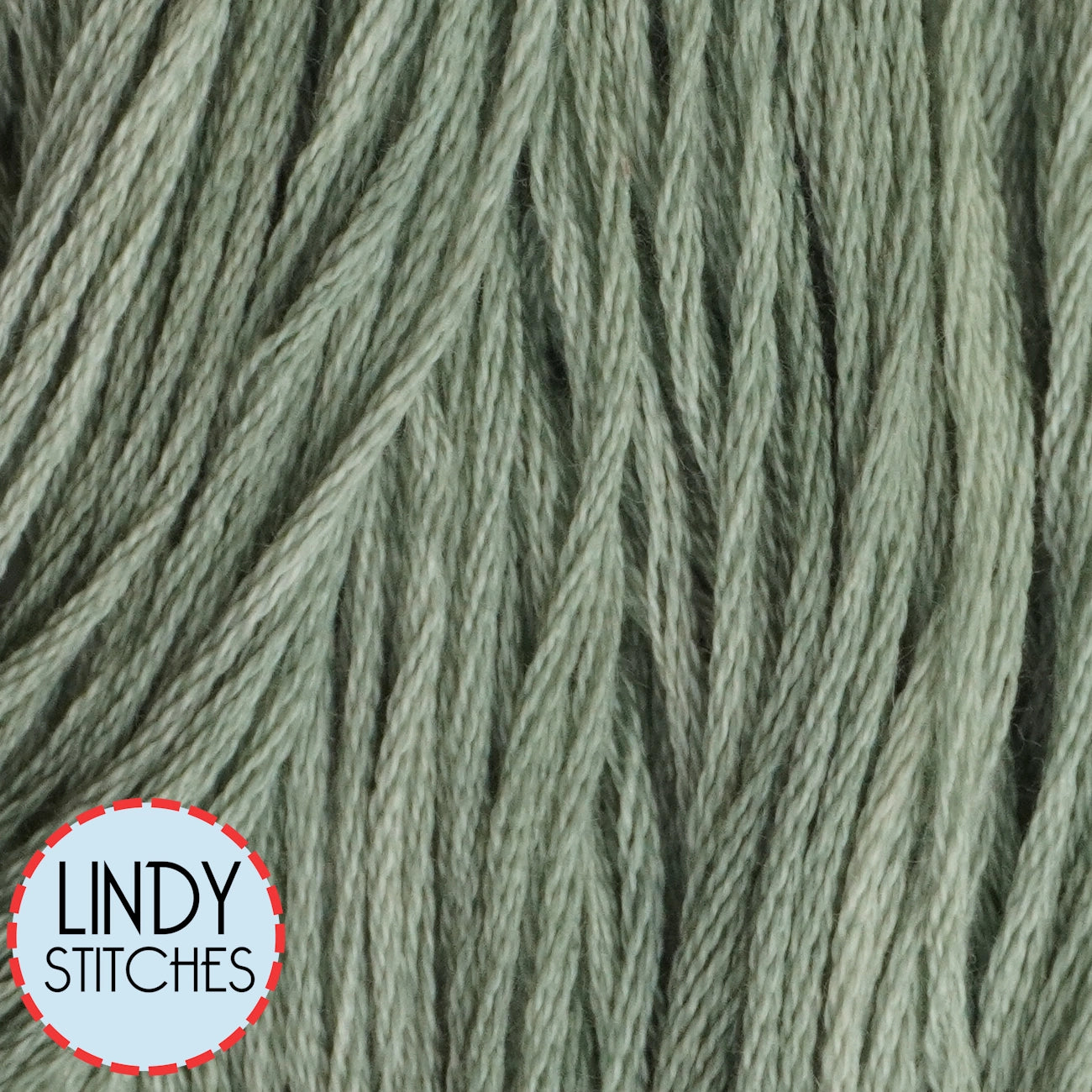 Barrel Cactus Classic Colorworks Floss Hand Dyed Cotton Skein