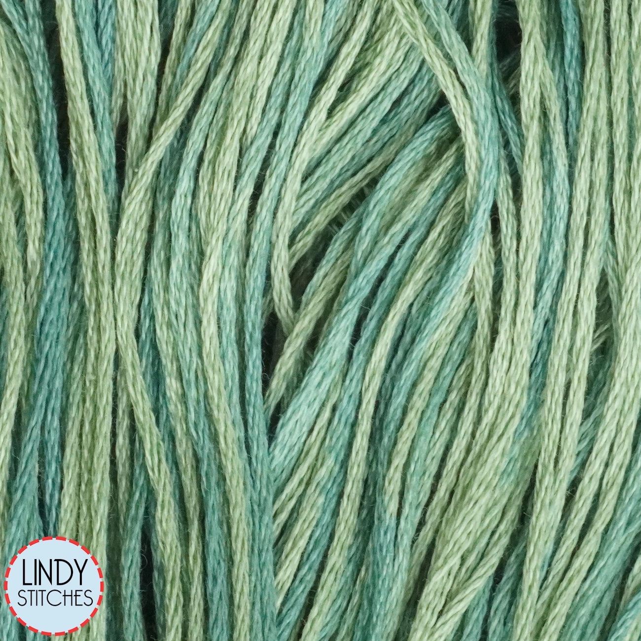 Bayberry Weeks Dye Works Floss Hand Dyed Cotton Skein 2166
