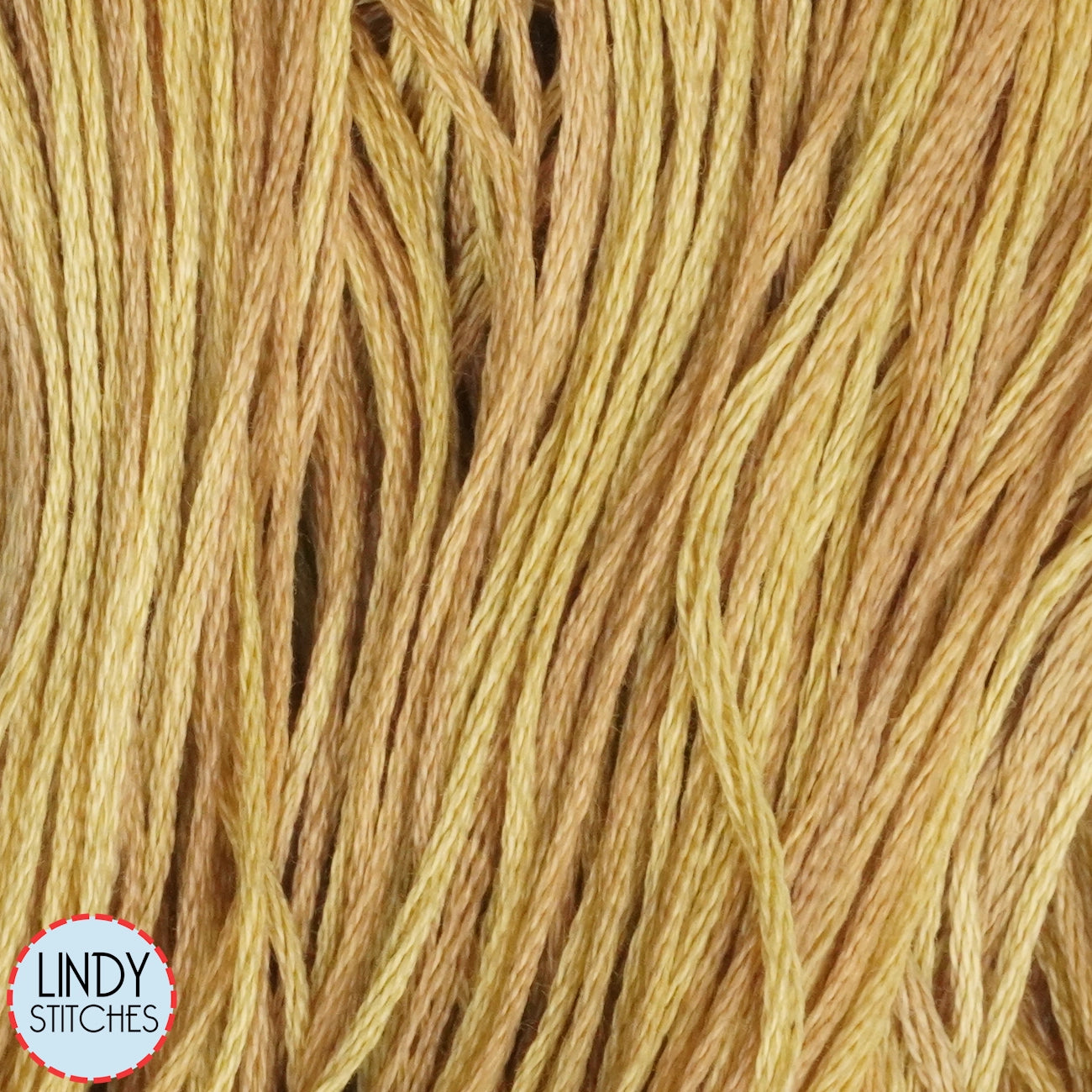 Bee's Knees Weeks Dye Works Floss Hand Dyed Cotton Skein 1223a