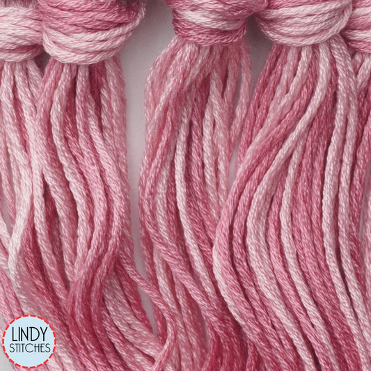 Carnation Belle Soie Classic Colorworks 12 Strand Hand-Dyed Silk Floss