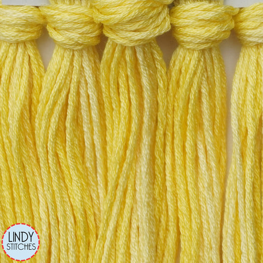 Lemonade Belle Soie Classic Colorworks 12 Strand Hand-Dyed Silk Floss