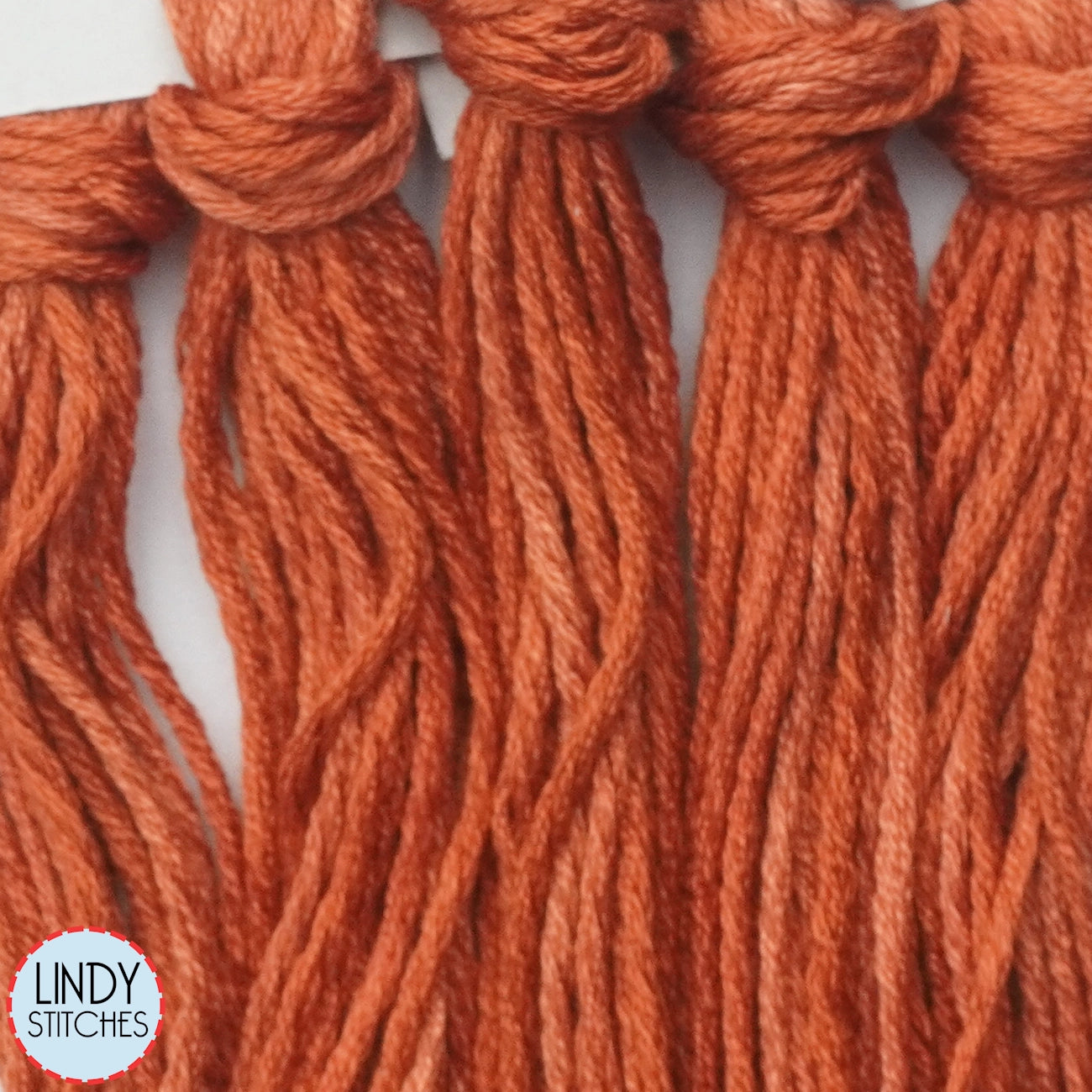 Paprika Belle Soie Classic Colorworks 12 Strand Hand-Dyed Silk Floss