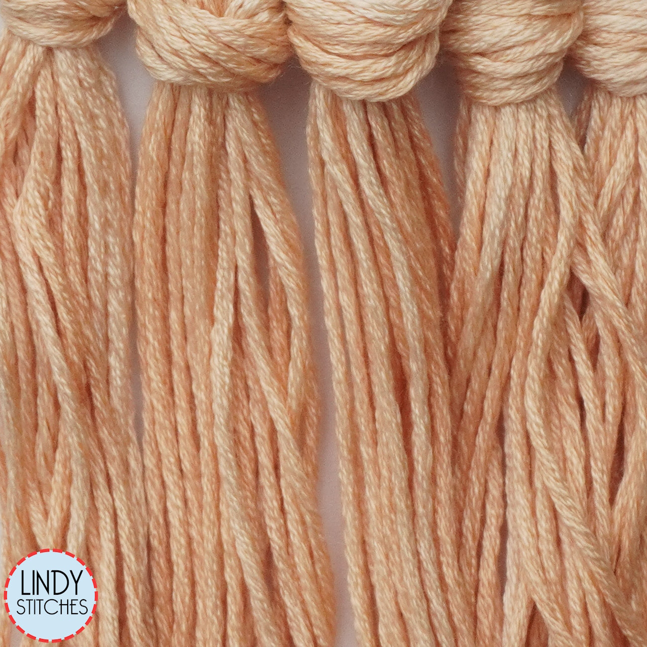 Peaches n Cream Belle Soie Classic Colorworks 12 Strand Hand-Dyed Silk Floss