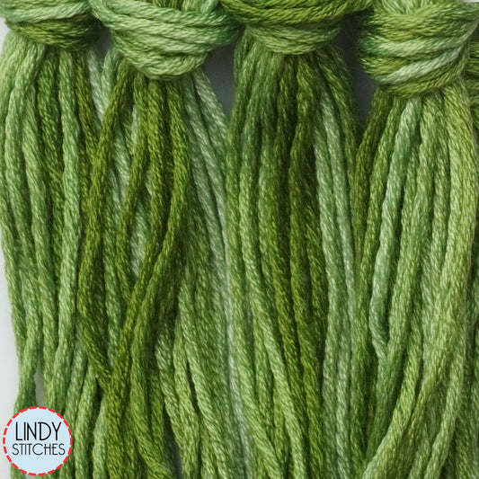 Pickle Relish Belle Soie Classic Colorworks 12 Strand Hand-Dyed Silk Floss