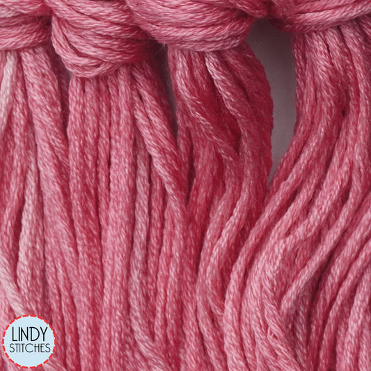 Pom Pom Pink Belle Soie Classic Colorworks 12 Strand Hand-Dyed Silk Floss