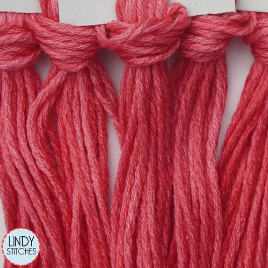 Watermelon Belle Soie Classic Colorworks 12 Strand Hand-Dyed Silk Floss