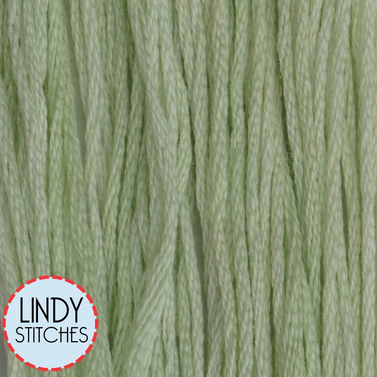 Dandelion Stem Classic Colorworks Floss Hand Dyed Cotton Skein