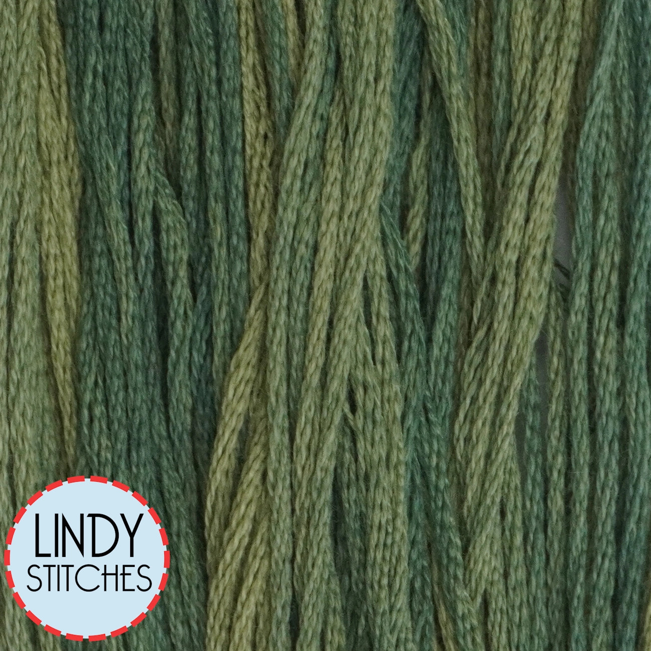 Desert Mesquite Classic Colorworks Floss Hand Dyed Cotton Skein