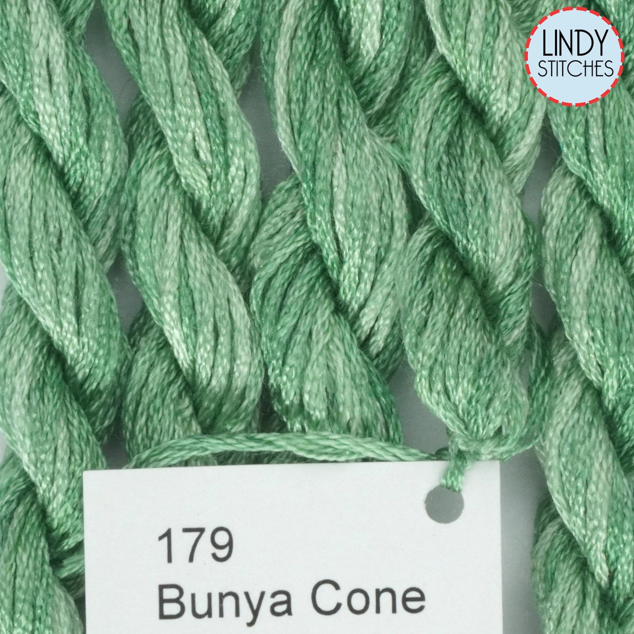 Bunya Cone Dinky Dyes Silk Floss 179