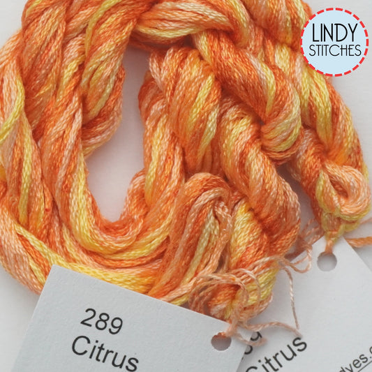 Citrus Dinky Dyes Silk Floss 289