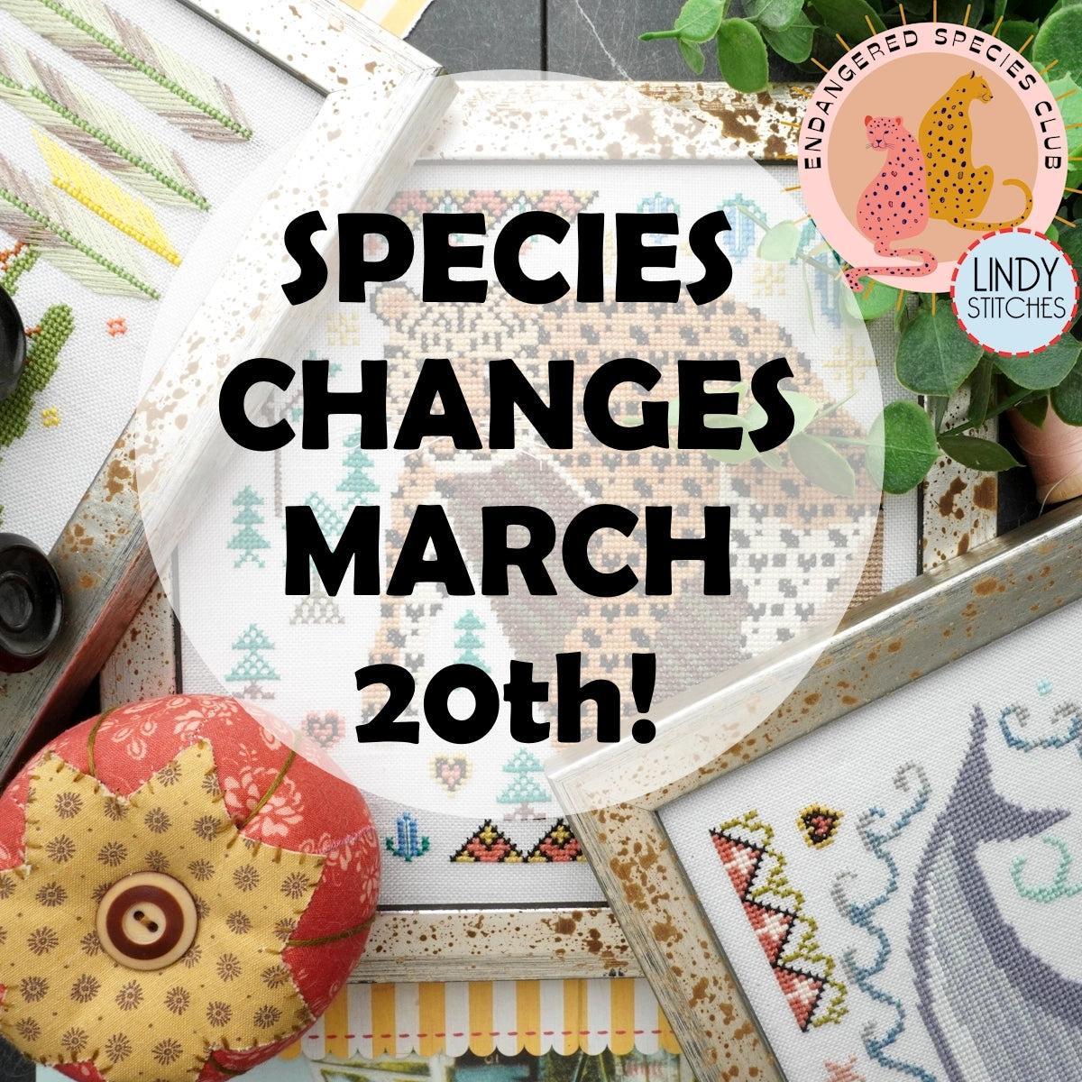 Endangered Species Club for 2024 - 6 Pattern Subscription