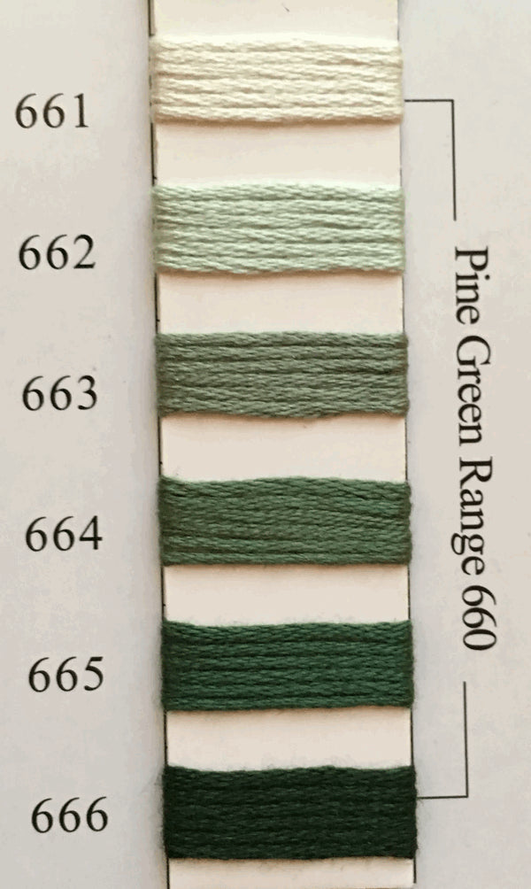 Needlepoint NPI Silk Floss 8 Ply Pine Green Range 661 662 663 664 665 666