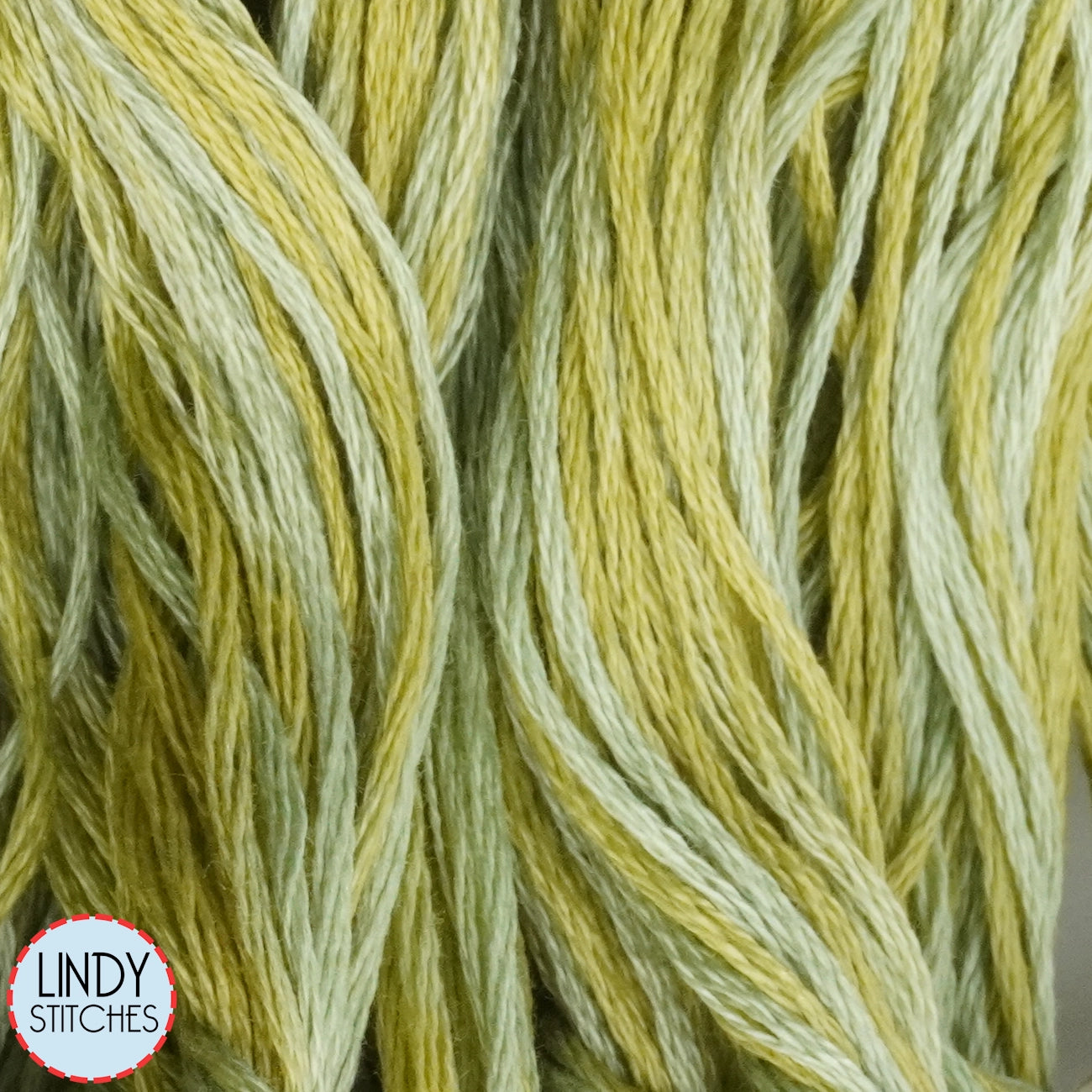 Pistachio Weeks Dye Works Floss Hand Dyed Cotton Skein 2206