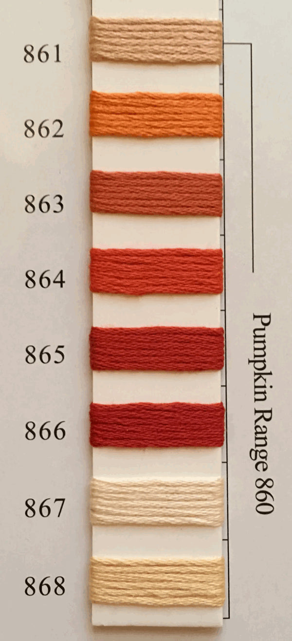 Needlepoint NPI Silk Floss 8 Ply Pumpkin Range 861 862 863 864 865 866 867 868 869