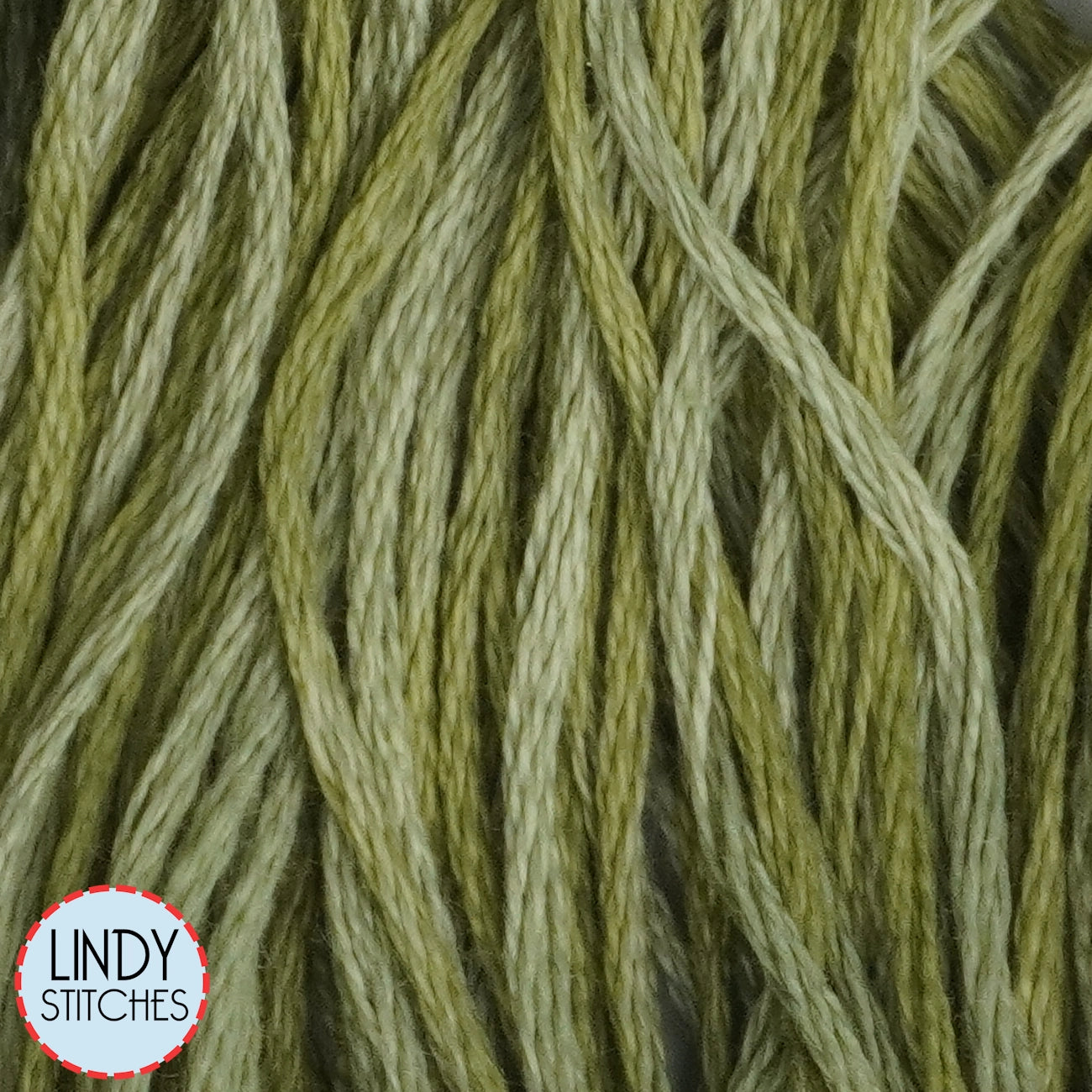 Scuppernong Weeks Dye Works Floss Hand Dyed Cotton Skein 2196