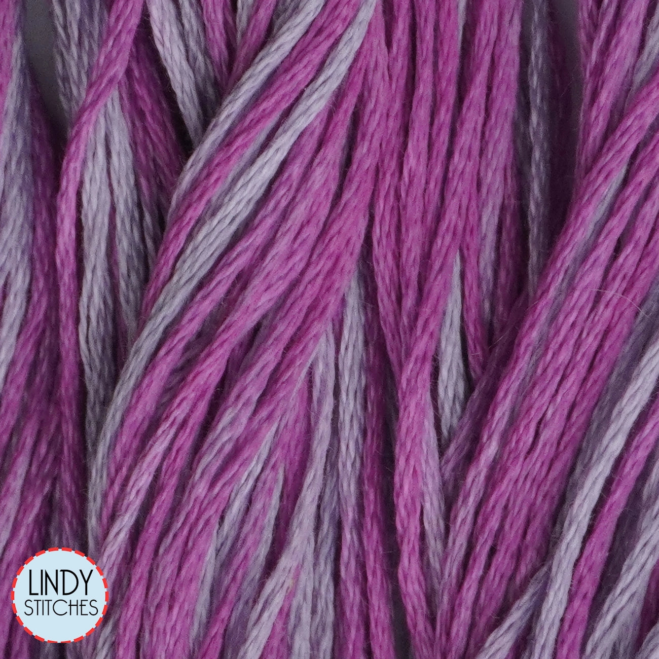 Sugar Plum Weeks Dye Works Floss Hand Dyed Cotton Skein 2291