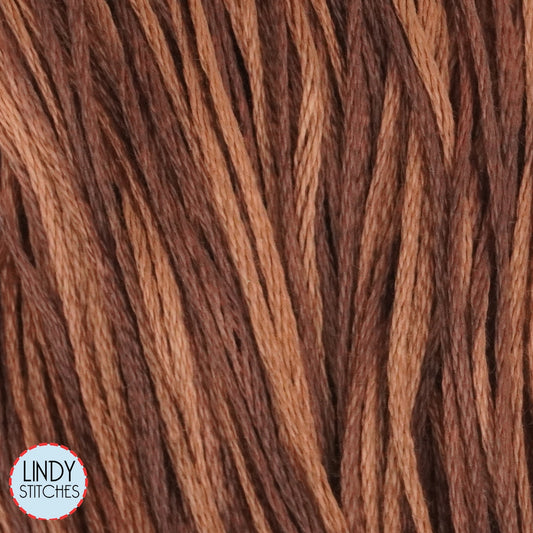 Swiss Chocolate Weeks Dye Works Floss Hand Dyed Cotton Skein 1237