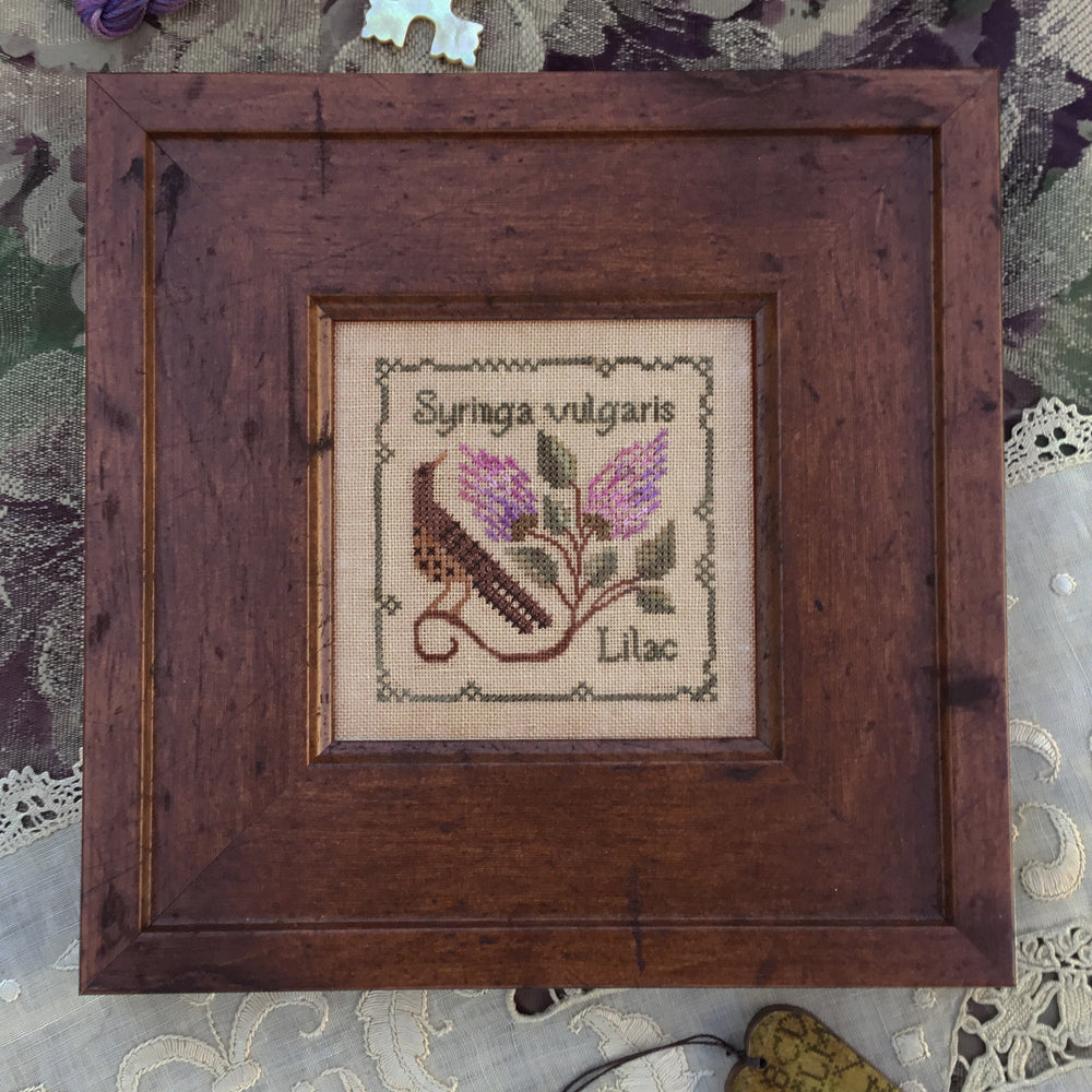 Common Lilac by The Drawn Thread