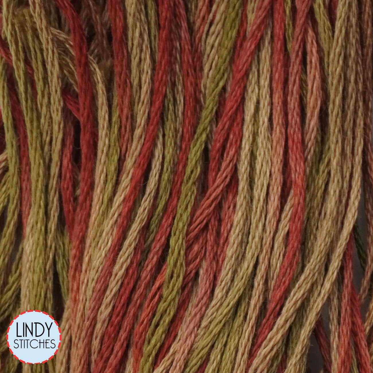 Tobacco Road Weeks Dye Works Floss Hand Dyed Cotton Skein 4155