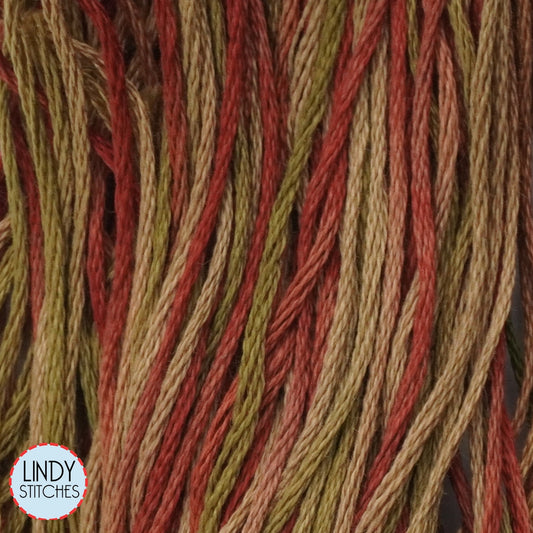 Tobacco Road Weeks Dye Works Floss Hand Dyed Cotton Skein 4155