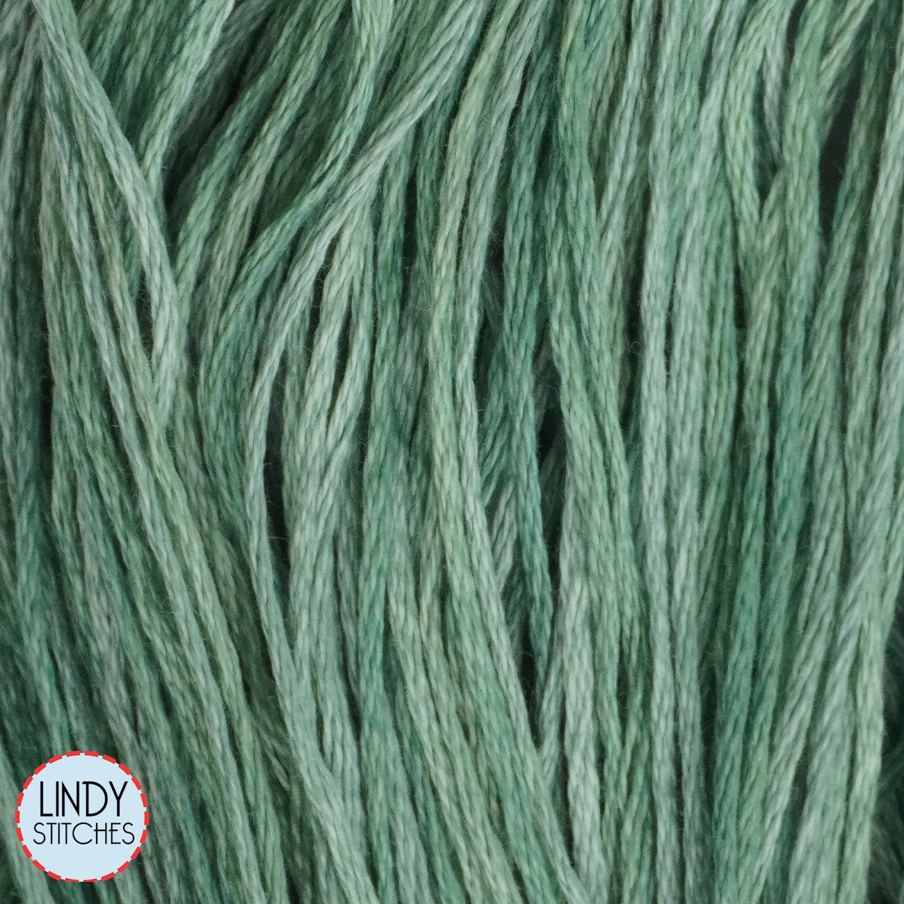 Verdigris Weeks Dye Works Floss Hand Dyed Cotton Skein 1280