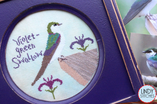 Violet Green Swallow Bird Crush Club Cross Stitch Pattern #11