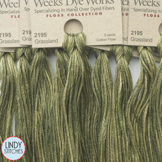*NEW COLOR!* Grassland Weeks Dye Works Floss Hand Dyed Cotton Skein 2195