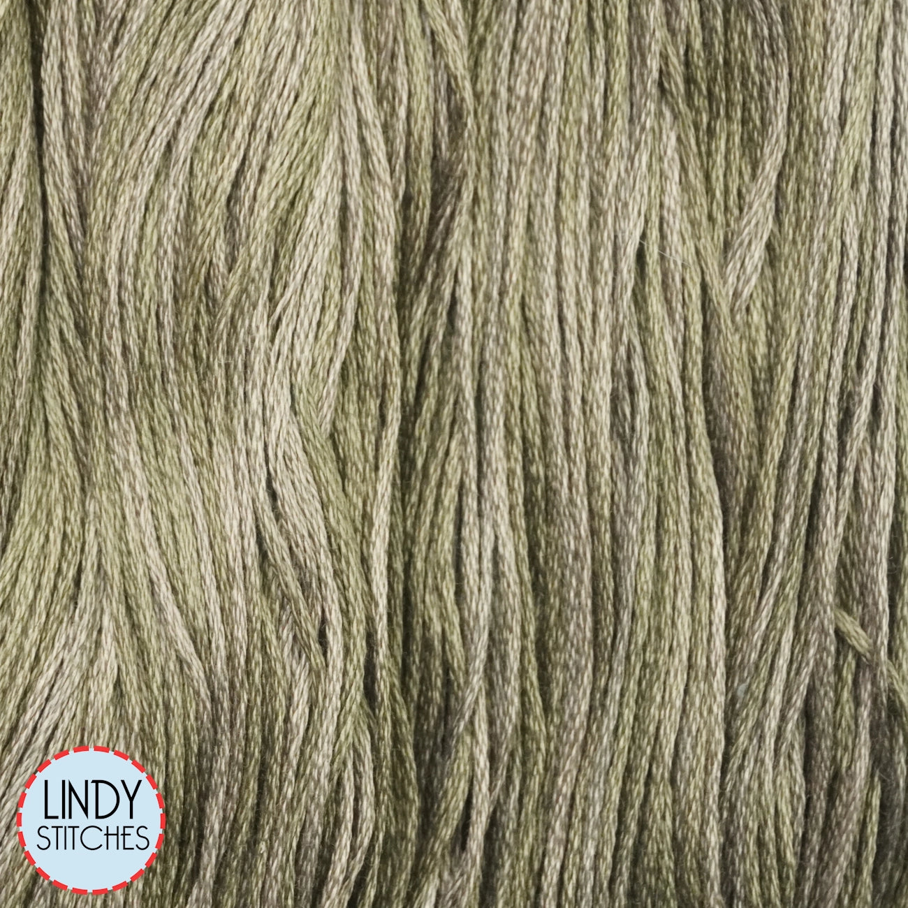 Olive Branch Weeks Dye Works Floss Hand Dyed Cotton Skein 1258