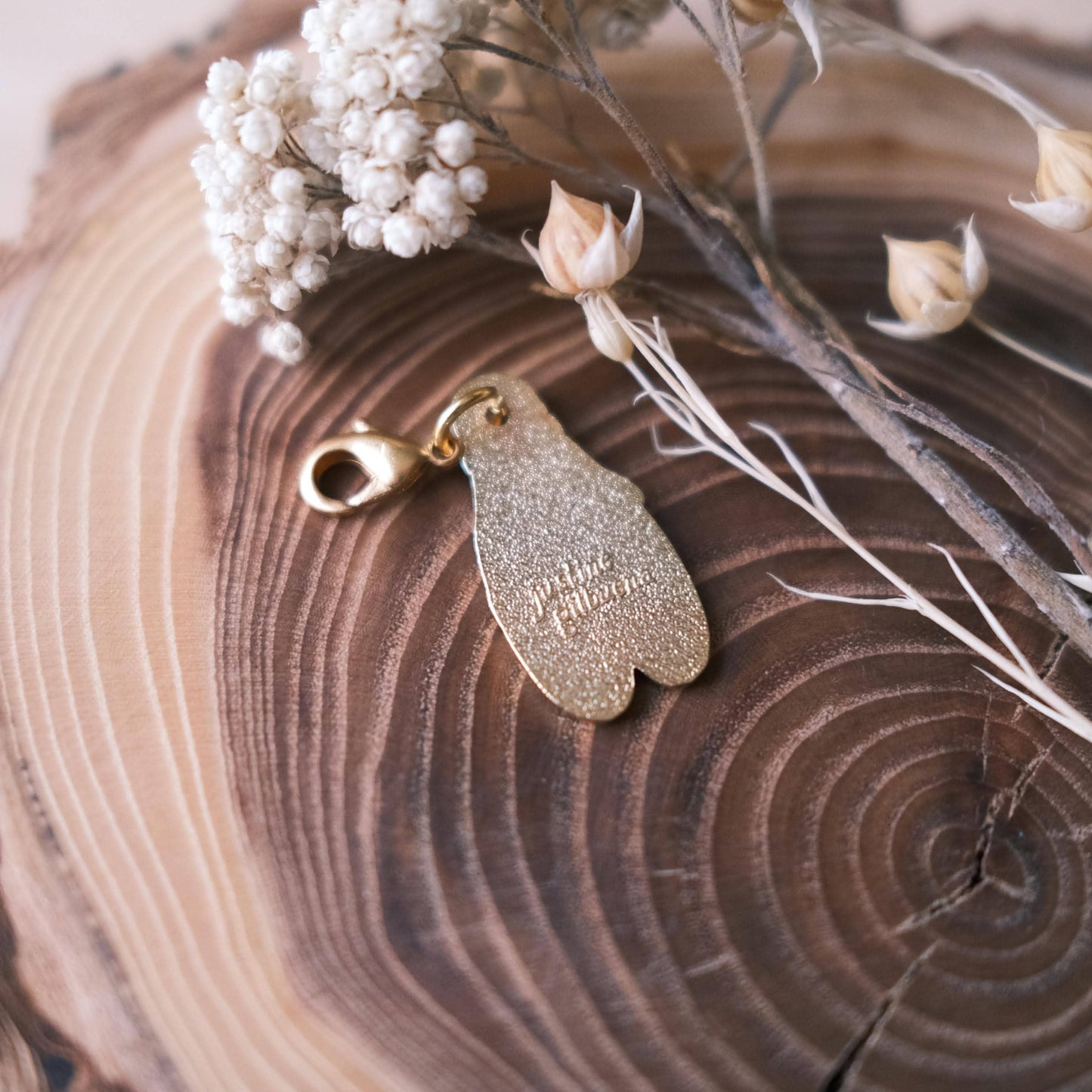 Cicada Notebook Charm