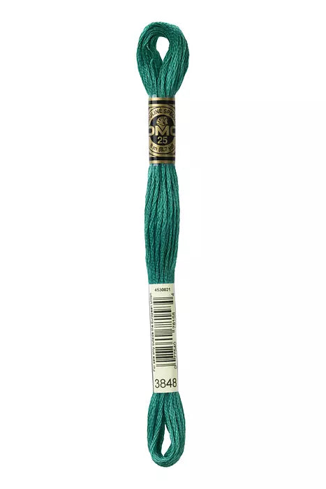 3848 DMC Six Strand Cotton Embroidery Floss