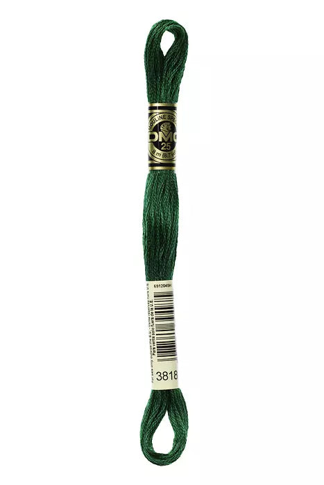 3818 DMC Six Strand Cotton Embroidery Floss