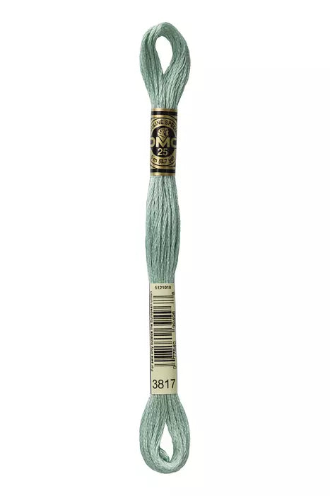 3817 DMC Six Strand Cotton Embroidery Floss
