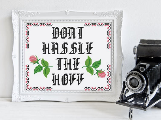 I might regret this but Dont Hassle the Hoff Freebie