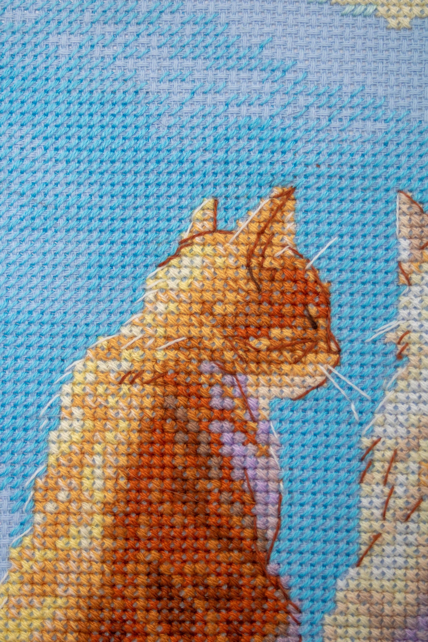 CATS BY THE SEA Cross Stitch Kit by AINE A1034