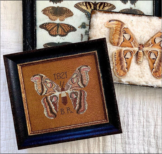 B.R.'s Moth Cross Stitch Pattern Kathy Barrick PHYSICAL copy