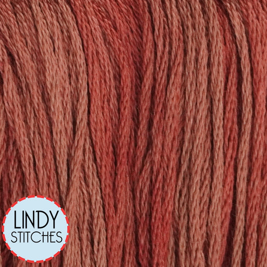 Barn Door Classic Colorworks Floss Hand Dyed Cotton Skein