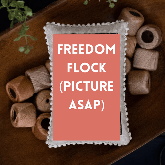 PREORDER Plum Street Samplers FREEDOM FLOCK Cross Stitch Pattern Nashville Market