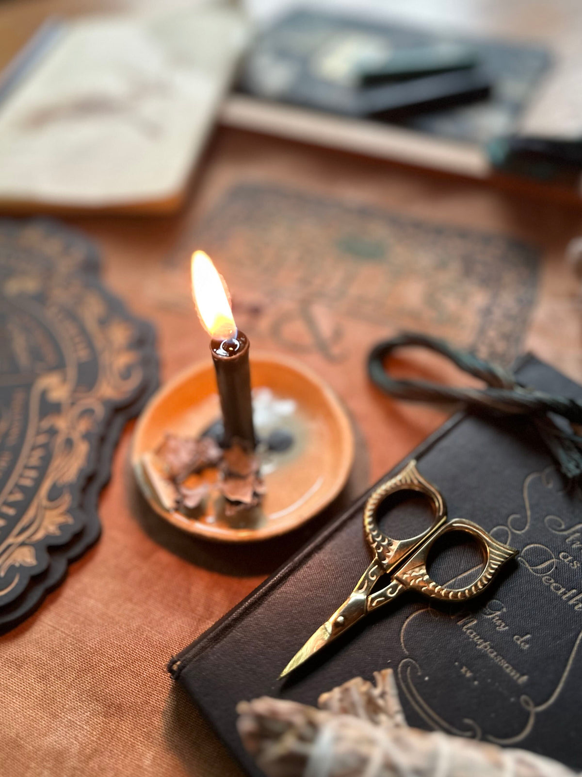 Gold Owl Embroidery Craft Scissors