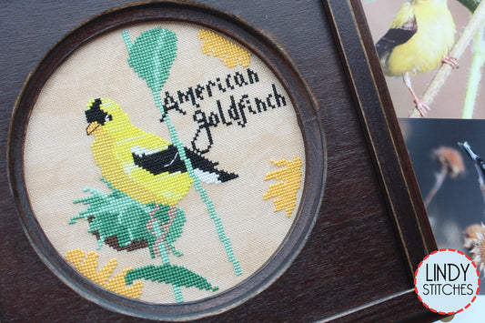 American Goldfinch Bird Crush Club Cross Stitch Pattern #9