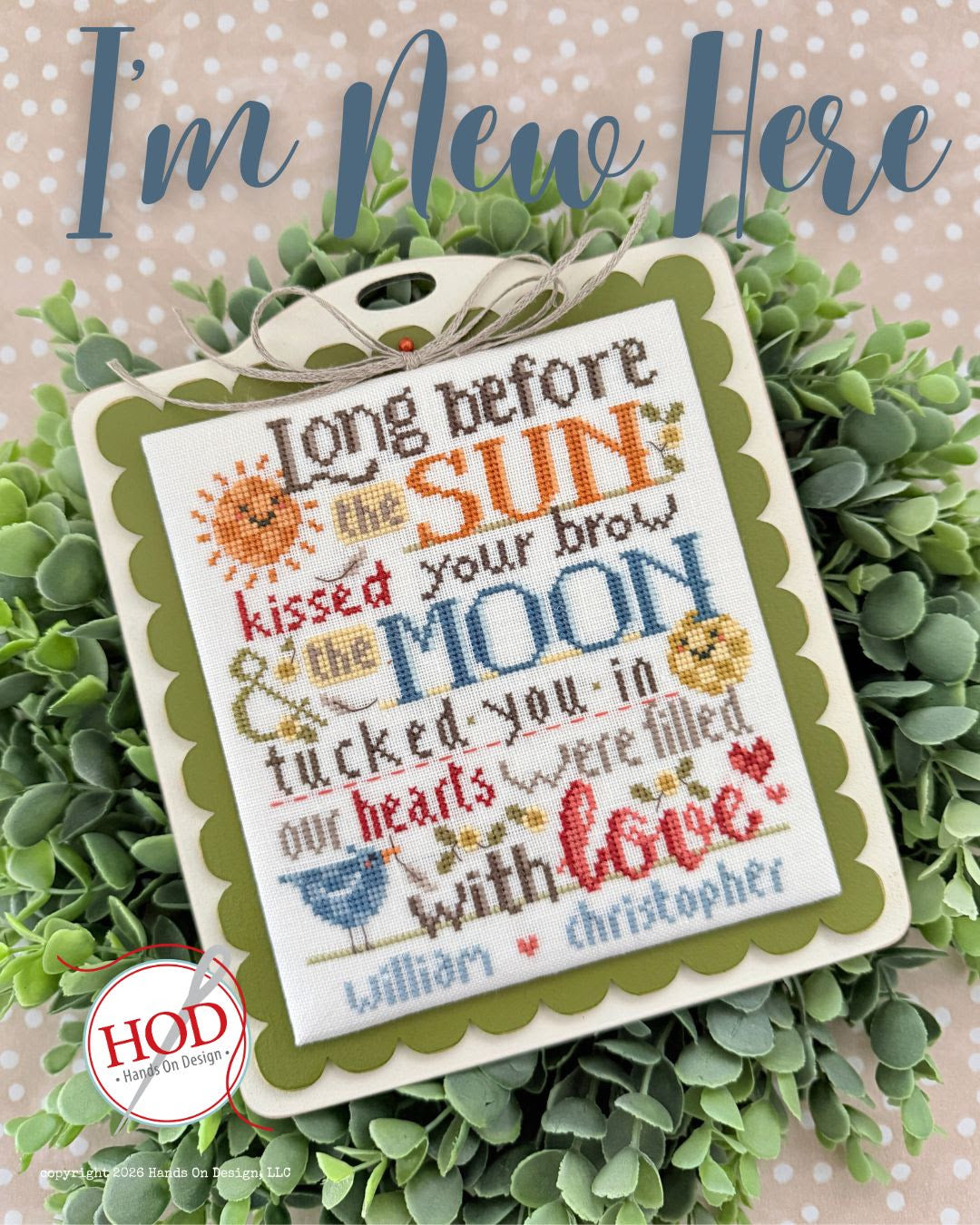 Hands On Design I'M NEW HERE Cross Stitch Pattern