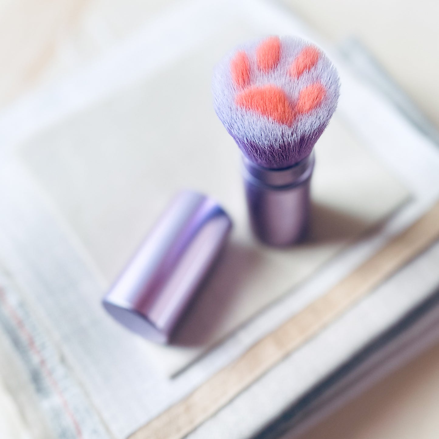 The Cat Paw Lint Brush