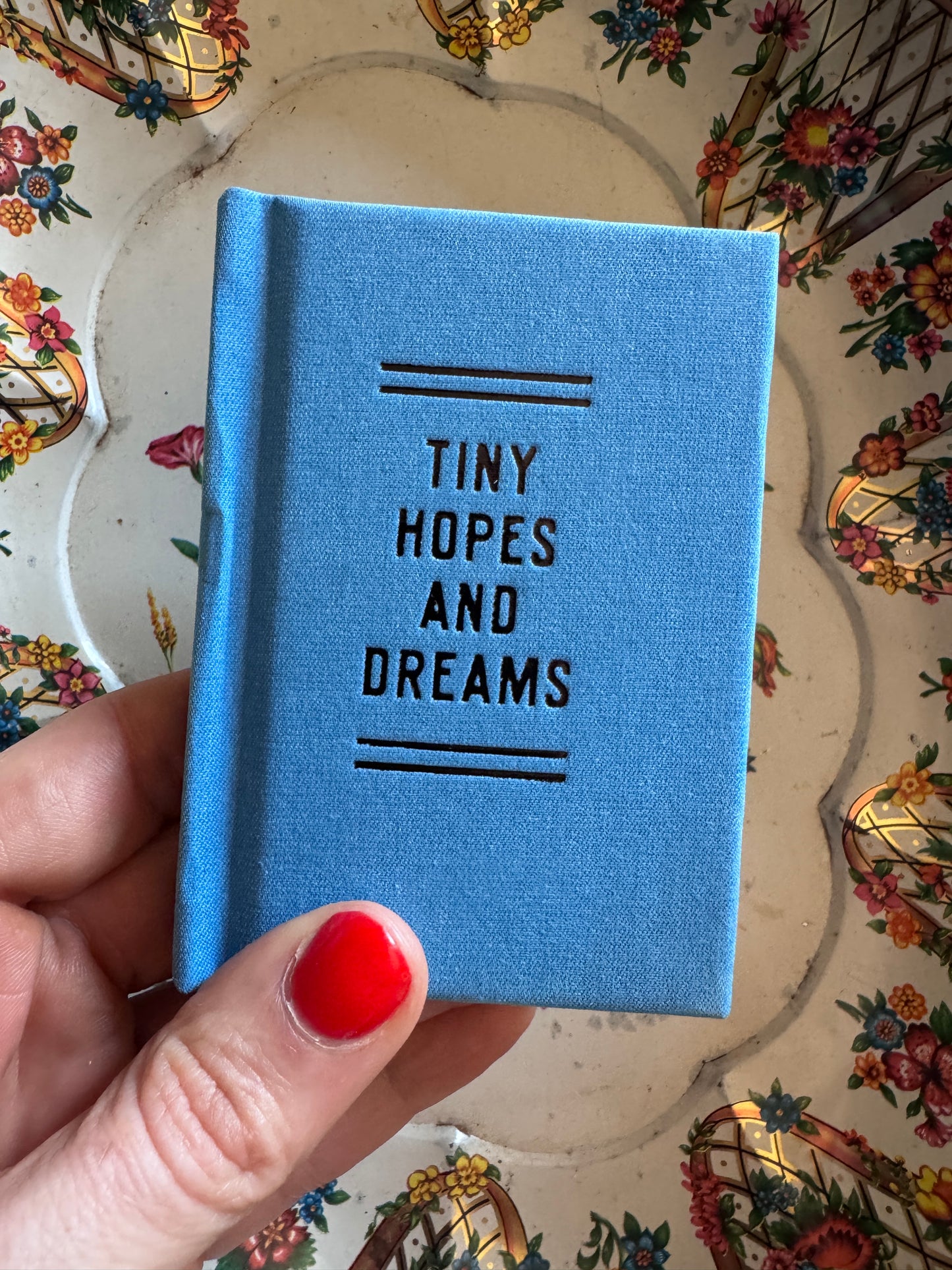 Tiny Hopes And Dreams Tiny Diary