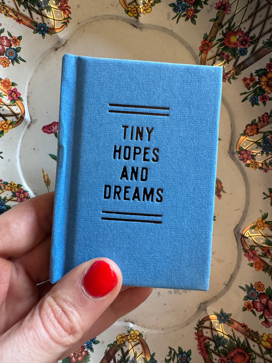 Tiny Hopes And Dreams Tiny Diary