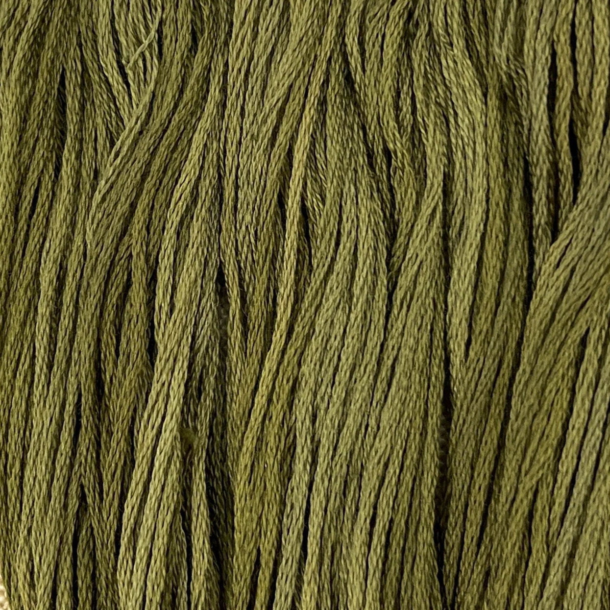 Pine Needles Colour & Cotton Overdyed Cotton Floss