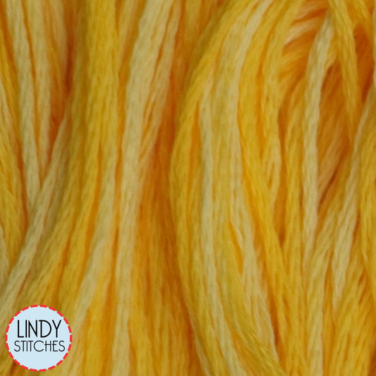 Sally's Sunshine Weeks Dye Works Floss Hand Dyed Cotton Skein 2218