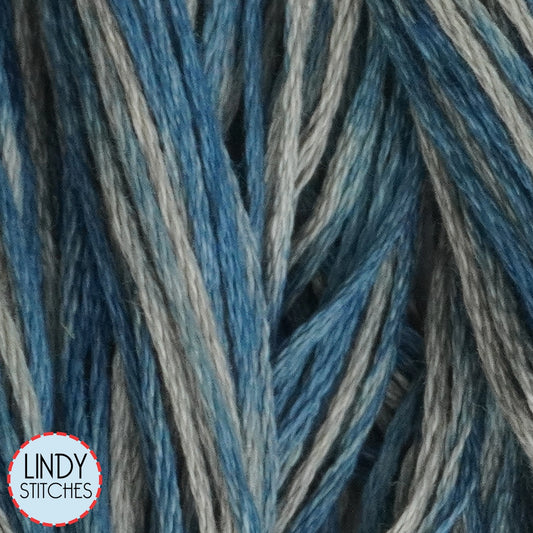Salt Glaze Weeks Dye Works Floss Hand Dyed Cotton Skein 1286