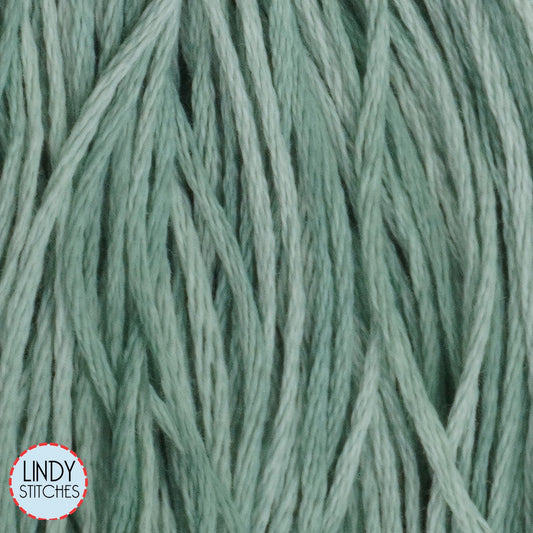 Sea Foam Weeks Dye Works Floss Hand Dyed Cotton Skein 1166